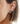 Antique 18kt yellow Gold & Platinum Earrings with Diamonds