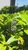 Art Deco Platinum Diamond Pendant and Chain